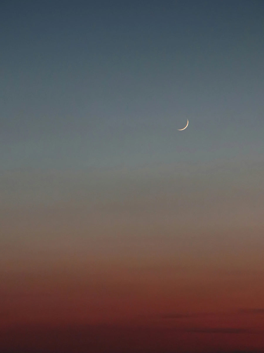 Integrated Development positieve psychologie trainingen en coaching voor bedrijven - Leer hoe je medewerkers kunt begeleiden naar een duurzaam gevoel van welzijn. Deze training verdiept je kennis van positieve psychologie en biedt praktische tools om medewerkers te helpen hun gezonde gewoontes te ontwikkelen, positieve emoties te cultiveren en een betekenisvol leven te leiden.